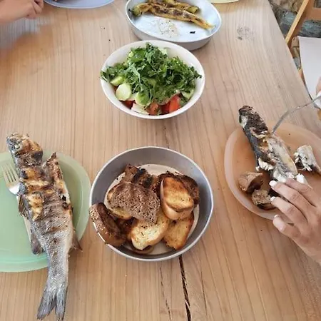 Villa 《μάνα γη》 *