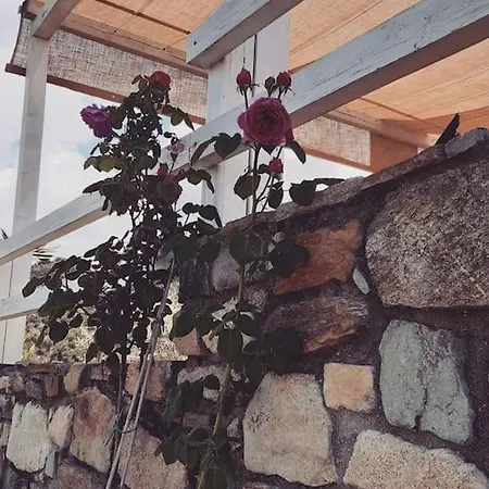 《μάνα γη》 *