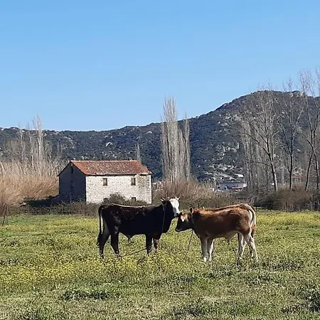 《μάνα γη》 * Toroni