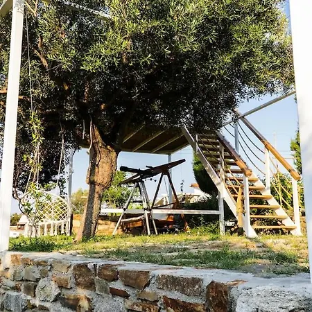 《μάνα γη》 Villa Toroni