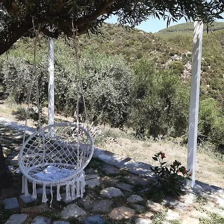 《μάνα γη》 * Toroni